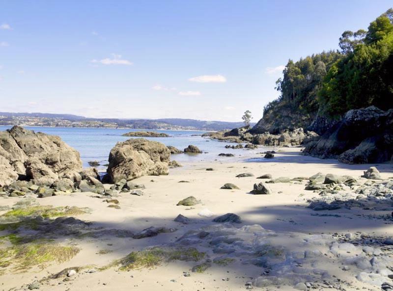 Piso 4 Dormitorios Playa 사다 외부 사진